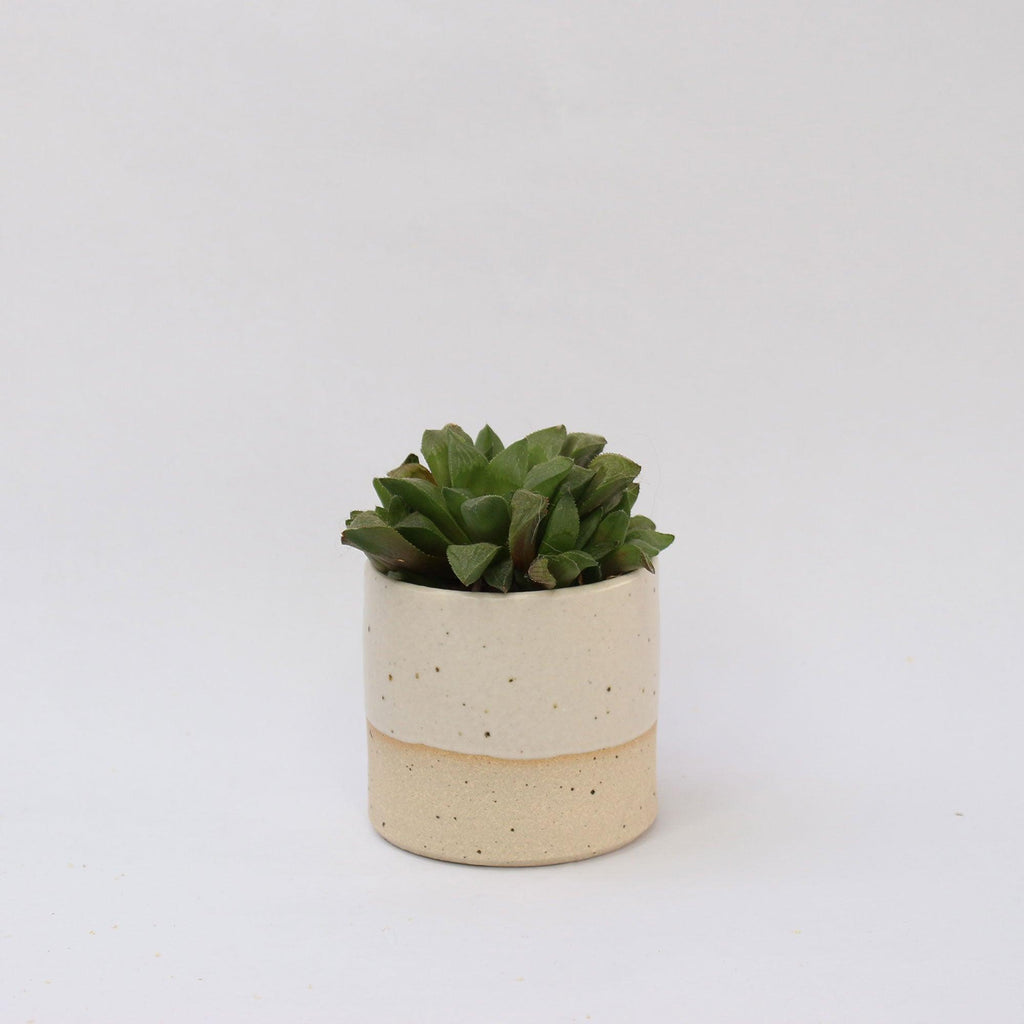Plant Pot Stone Series - Insideout