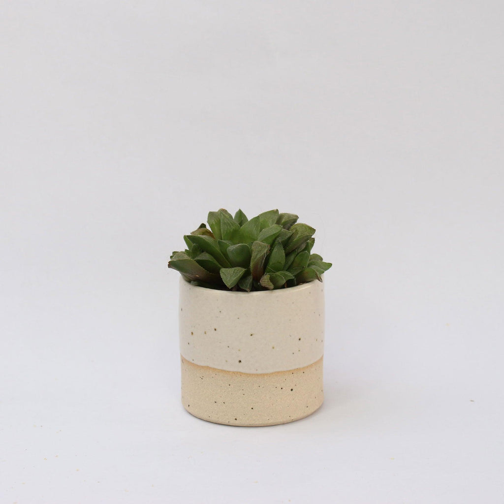 inside out plant pot Plant Pot Stone Series By Habulous Ceramics – Insideout