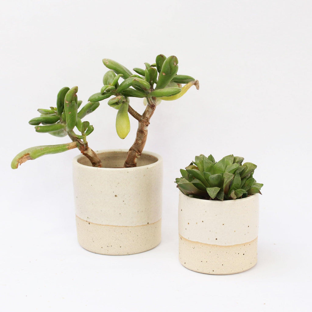 inside out plant pot Pflanztopf-Steinserie von Habulous Ceramics – Insideout