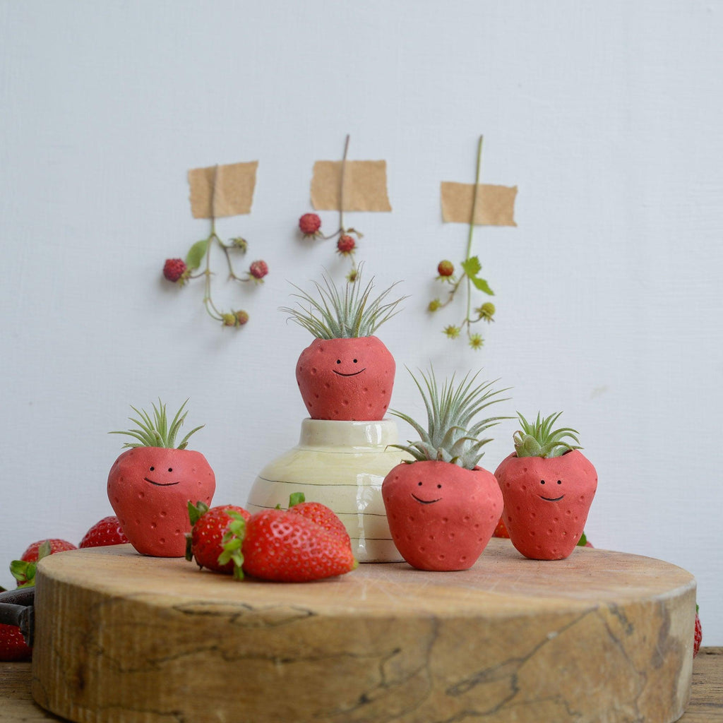 Strawberry Air Plant Holder Pot - Insideout