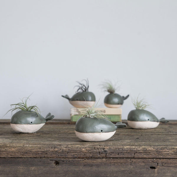 Whale Bud Vase Air Plant Holder - Insideout